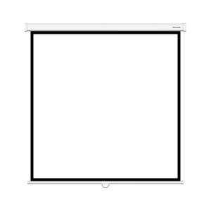 Экран Deluxe DLS-M305W (120"х120"), Ø - 170", Раб. поверхность 297х297 см., 1:1